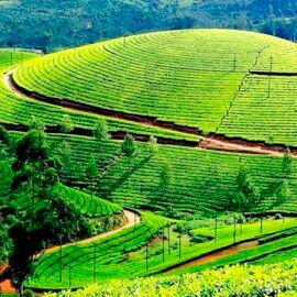 Munnar