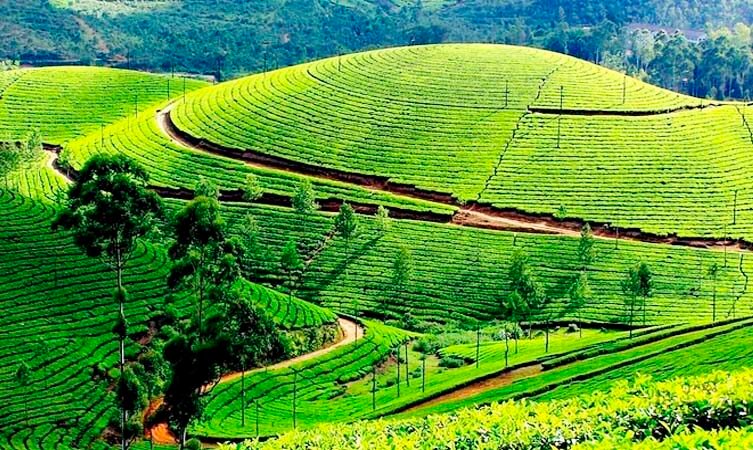 Munnar